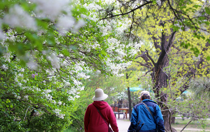 丁香园。国家植物园供图