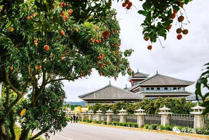 荔红时节的中国荔枝博览馆