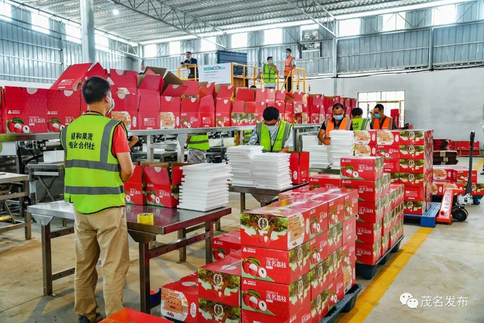 荔枝自动化包装车间