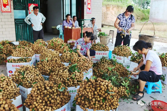 龙眼收购打包外运