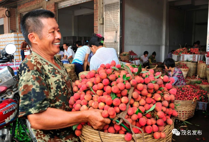 荔枝大丰收