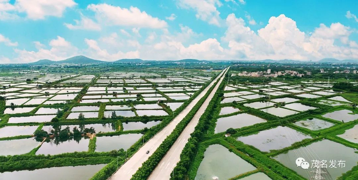 滨海新区养虾场