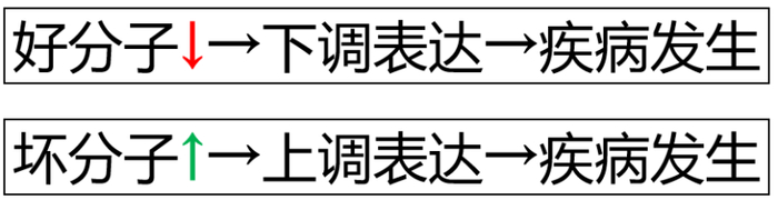 银行消费贷政策调整 如何应对利率额度变化