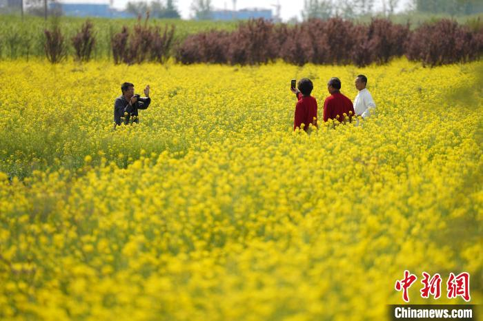 游客在河北省邢台市任泽区一处油菜花田赏花、拍照。　陈惠浩 摄