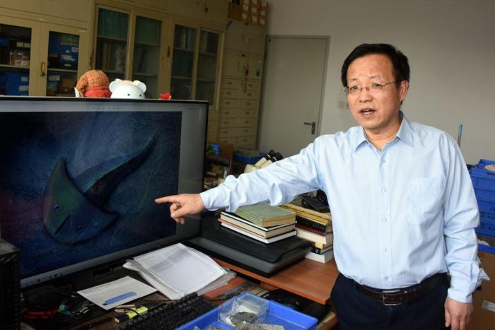 中科院古脊椎所赵文金研究员介绍硕大西屯鱼生态复原图。　中新社记者  孙自法 摄