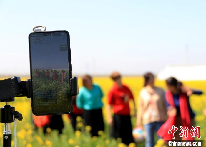 游客在河北省邢台市任泽区一处油菜花田进行直播赏花。　刘云洲 摄