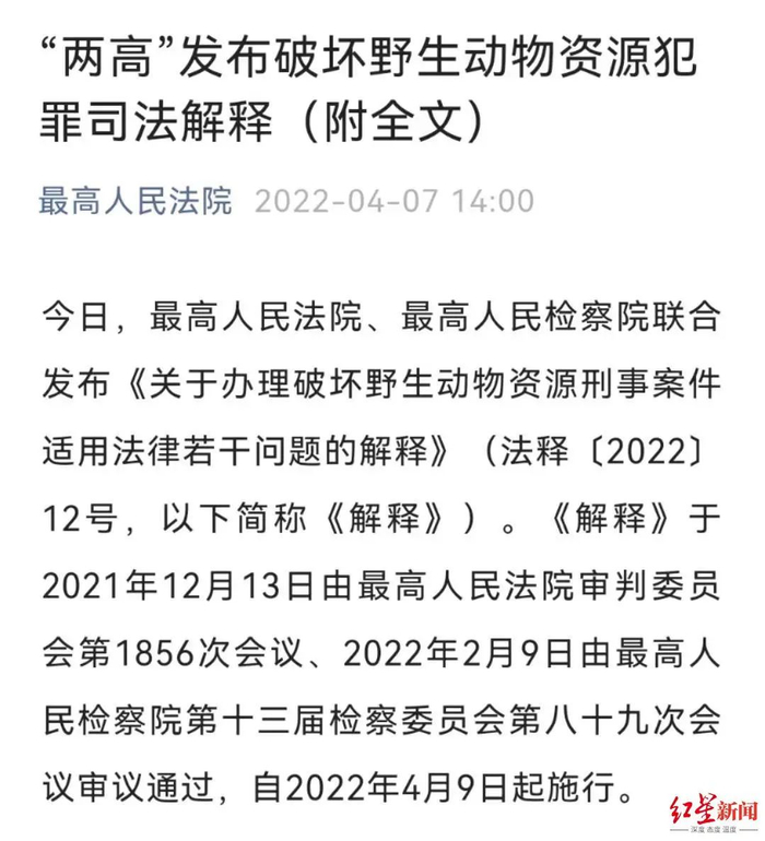 ▲4月7日，两高出台涉野生动物刑案新司法解释