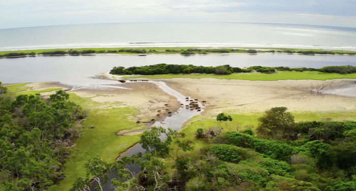 卢安果国家公园，广阔的刚果热带雨林与大西洋相遇。&nbsp; 视频截图