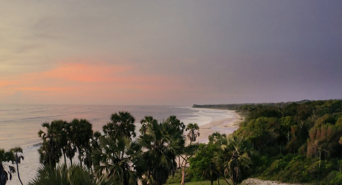 落日余晖中的海滨风光。&nbsp; 视频截图