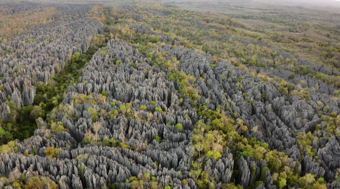 贝马拉哈国家公园&nbsp;&nbsp;视频截图