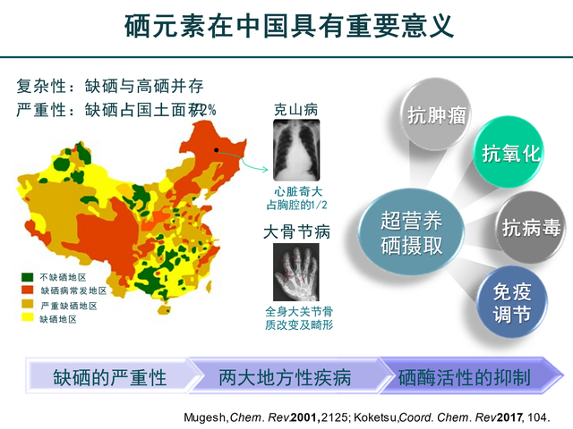 提倡科学补硒，暨创硒源纳米硒为健康护航