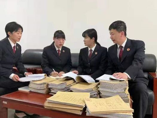 　　检察官调取合同、借条、银行流水等相关证据,逐条逐项审核。