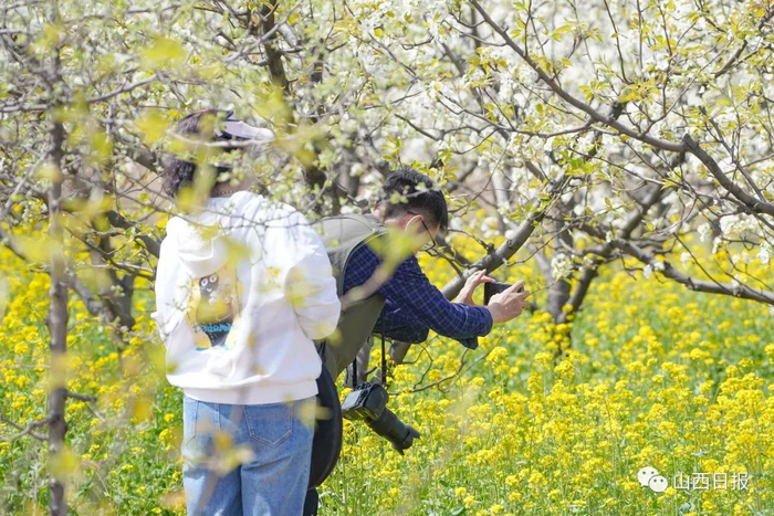 　　▲每年如期而至的摄影爱好者。