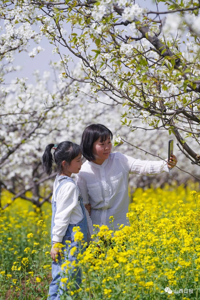 　　▲赏花的母女。