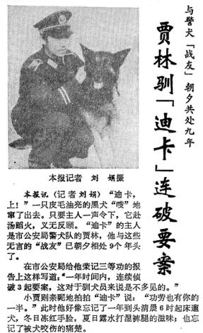 1989年2月28日《北京日报》1版，《贾林驯“迪卡”连破要案》