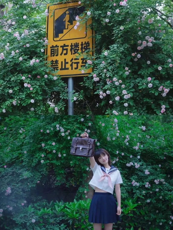  武昌区八一路网红车站蔷薇花墙，羡慕武大的同学可以打卡 @高清耙耙柑 摄