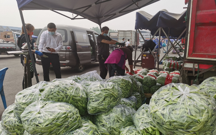 新发地市场蔬菜日上市量1.9万吨以上，能够满足北京市场需要。受访者供图