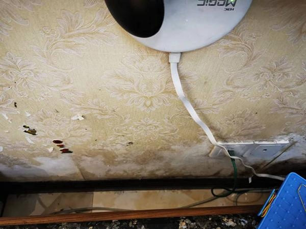 曾先生反映房屋内地面、墙面渗水严重。 本文图均为 受访者供图