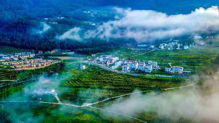 ▲被雾气笼罩的山村犹如人间仙境