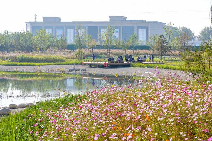 丰台久敬庄公园。何建勇摄