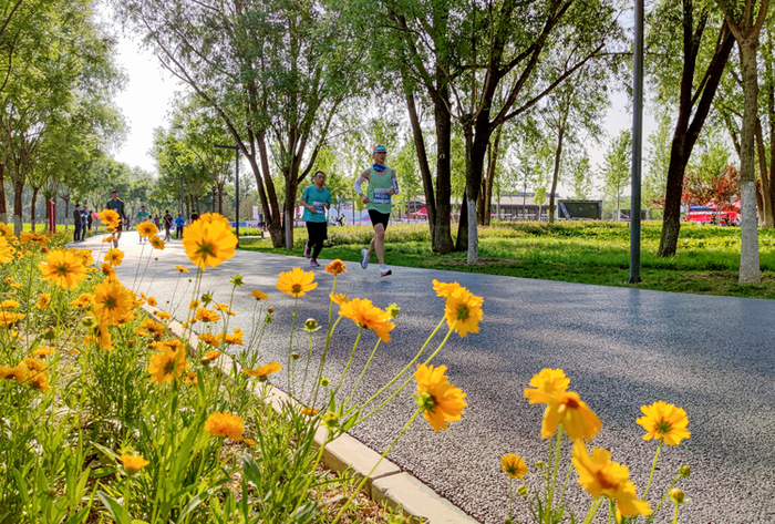 东小口城市休闲公园。何建勇摄