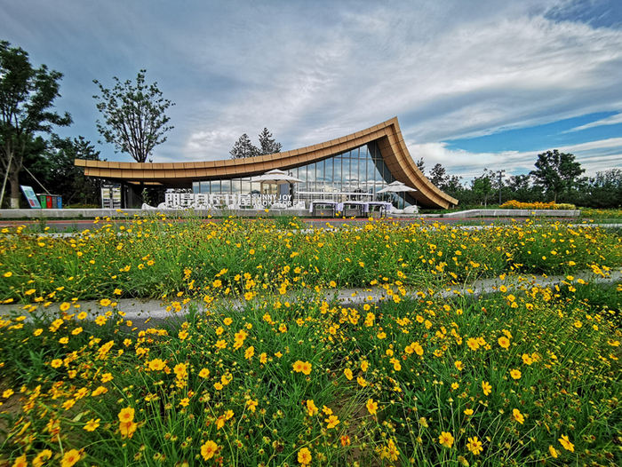 温榆河公园。 张正晔摄