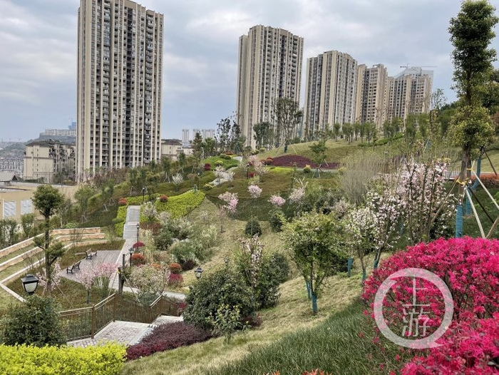 ▲两江新区礼仁公园