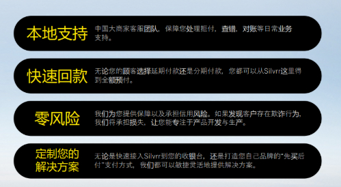 　　Silvrr PayLater商户扶持方案
