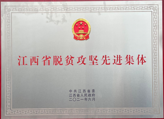 碧桂园兴国县乡村振兴工作队获“江西省脱贫攻坚先进集体”