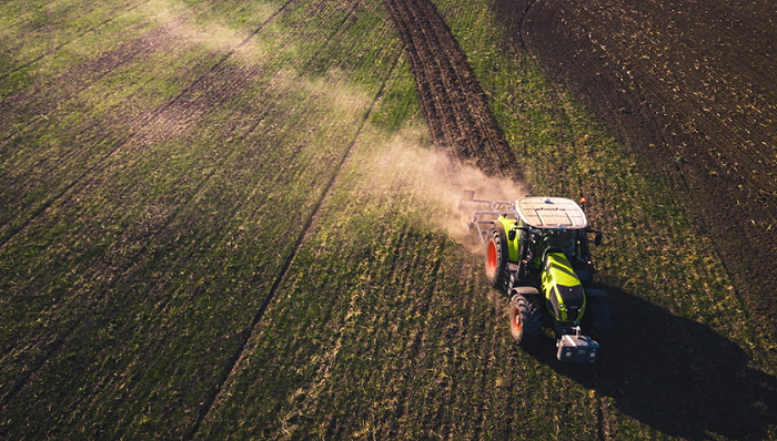 图片来源：Unsplash-Chris Ensminger