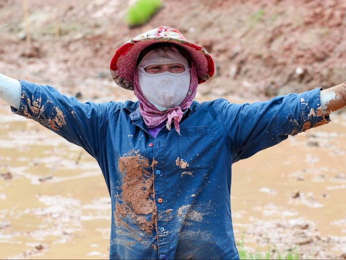 志愿者大姐体会到插秧的乐趣。