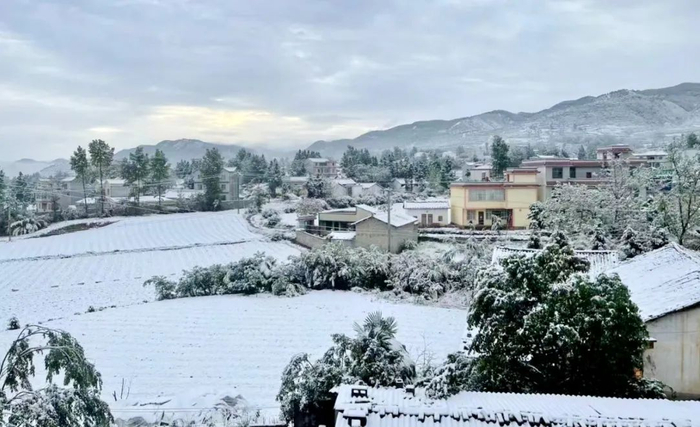 五星黑土村 李伟 摄