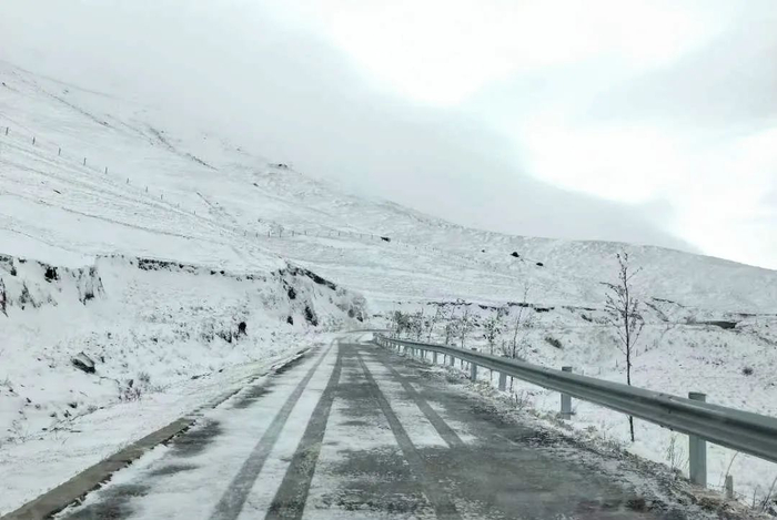 大海乡 罗桢 摄