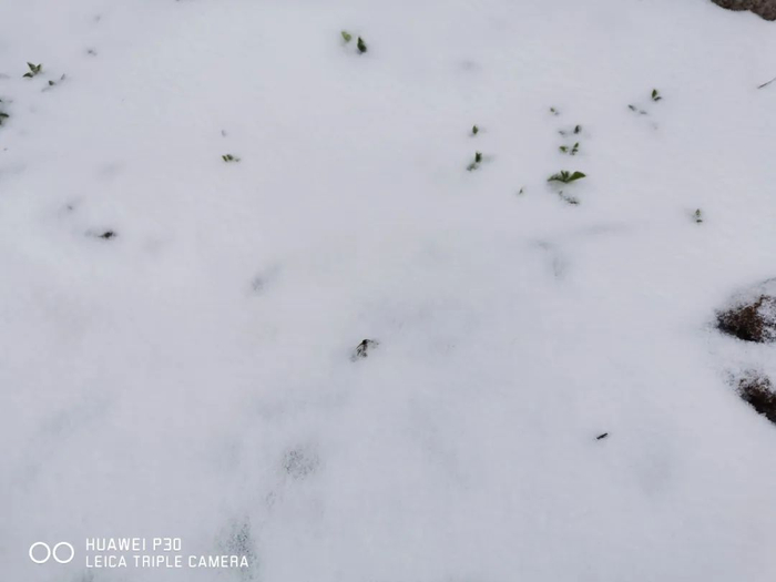 申时勋 马霞 摄