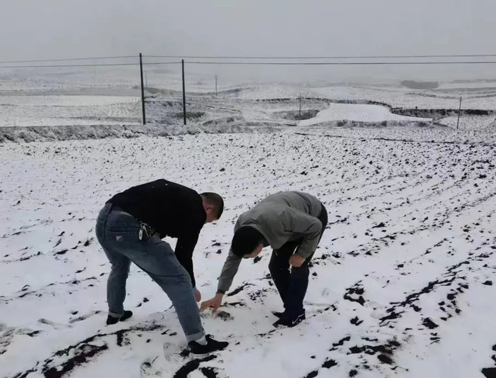 申时勋 马霞 摄
