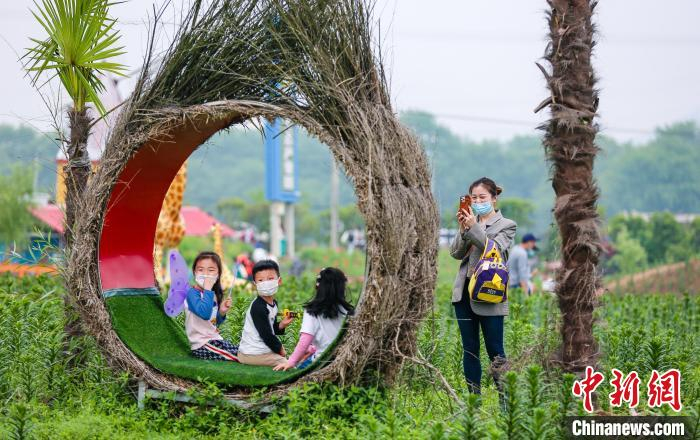 5月1日，游客在安徽省铜陵市义安区天门镇金塔村农业生态旅游区游玩 陈晨 摄