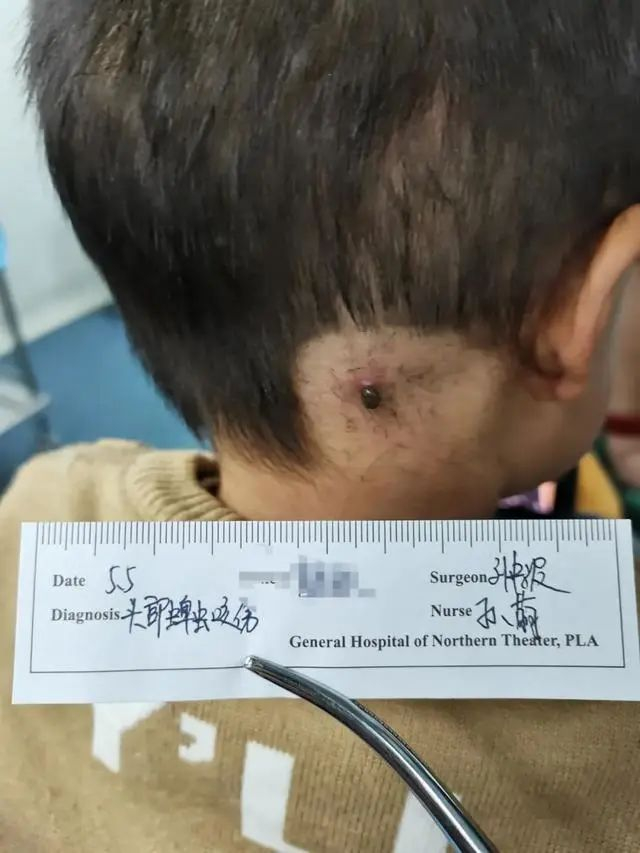 图源：辽沈晚报