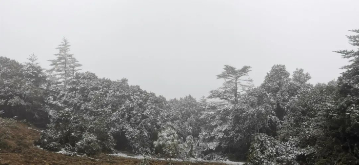 楚雄州委宣传部 供图