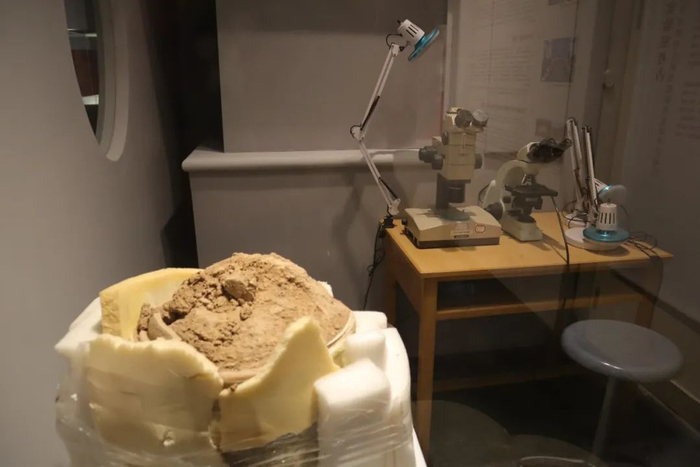 实验室考古展示区域