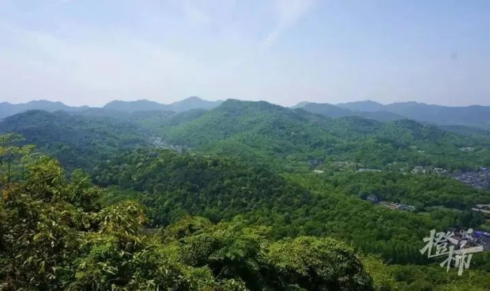 图片由杭州西湖西溪景区提供