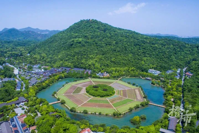 紫来洞前可以看到八卦田全景 记者 陈中秋 摄