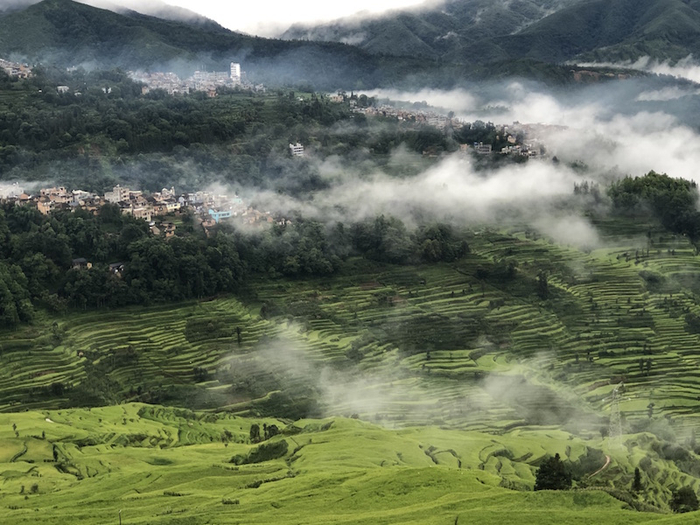 作夫村人居环境，陈俊