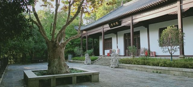 山脉峰岭岗丘塬台:武昌蛇山