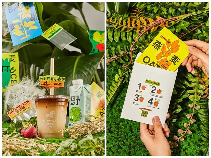 野生植物x挪瓦咖啡，买现制咖啡送植物种子，图片来源：微博@野生植物