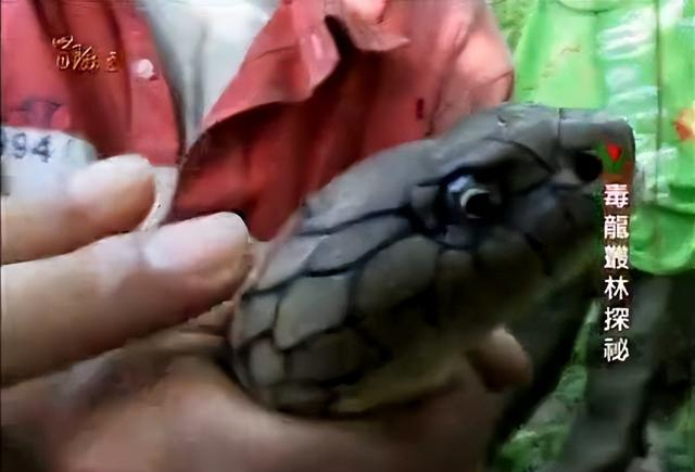 为什么验尿要200有人断绝关系有人从头再来,还有人陈尸山林,明星的那些吸血家人_新闻资讯_第5张_活检穿刺产品网 为什么验尿要200有人断绝关系有人从头再来,还有人陈尸山林,明星的那些吸血家人_https://www.jmylbn.com_新闻资讯_第5张