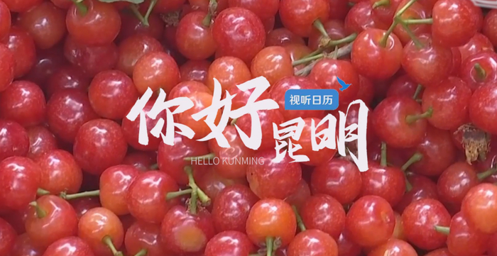 视听日历|你好昆明:立夏的水果快乐