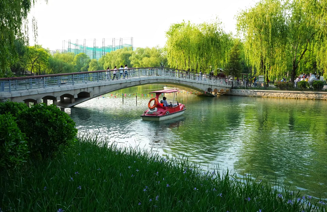 北京日报客户端记者 方非摄