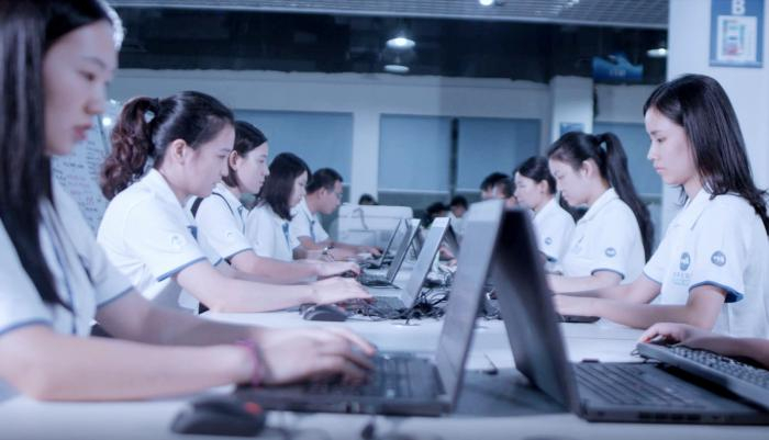 （来源：有棵树官网）