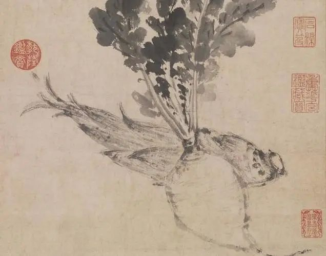 明 沈周《蔬笋写生图》（局部）台北故宫博物院藏