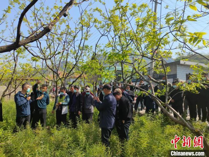 农业专家指导蛇皮村村民种植玉竹。　董春雨 摄